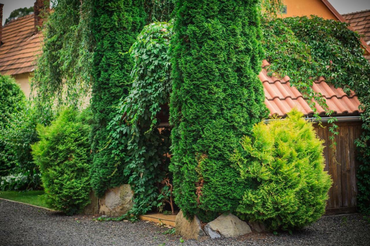 Hrabušice Domcek Miriamゲストハウス エクステリア 写真